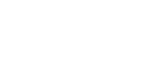 Testek_Logo_All_White